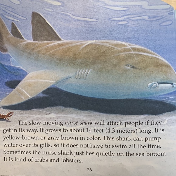 Bring back the bees science resource - Picture 11 of 12